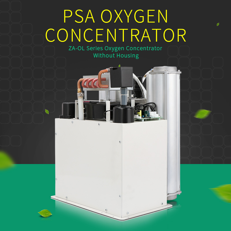 Oxygen Concentrator without housing